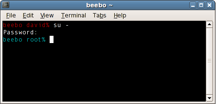 Display of a bash prompt